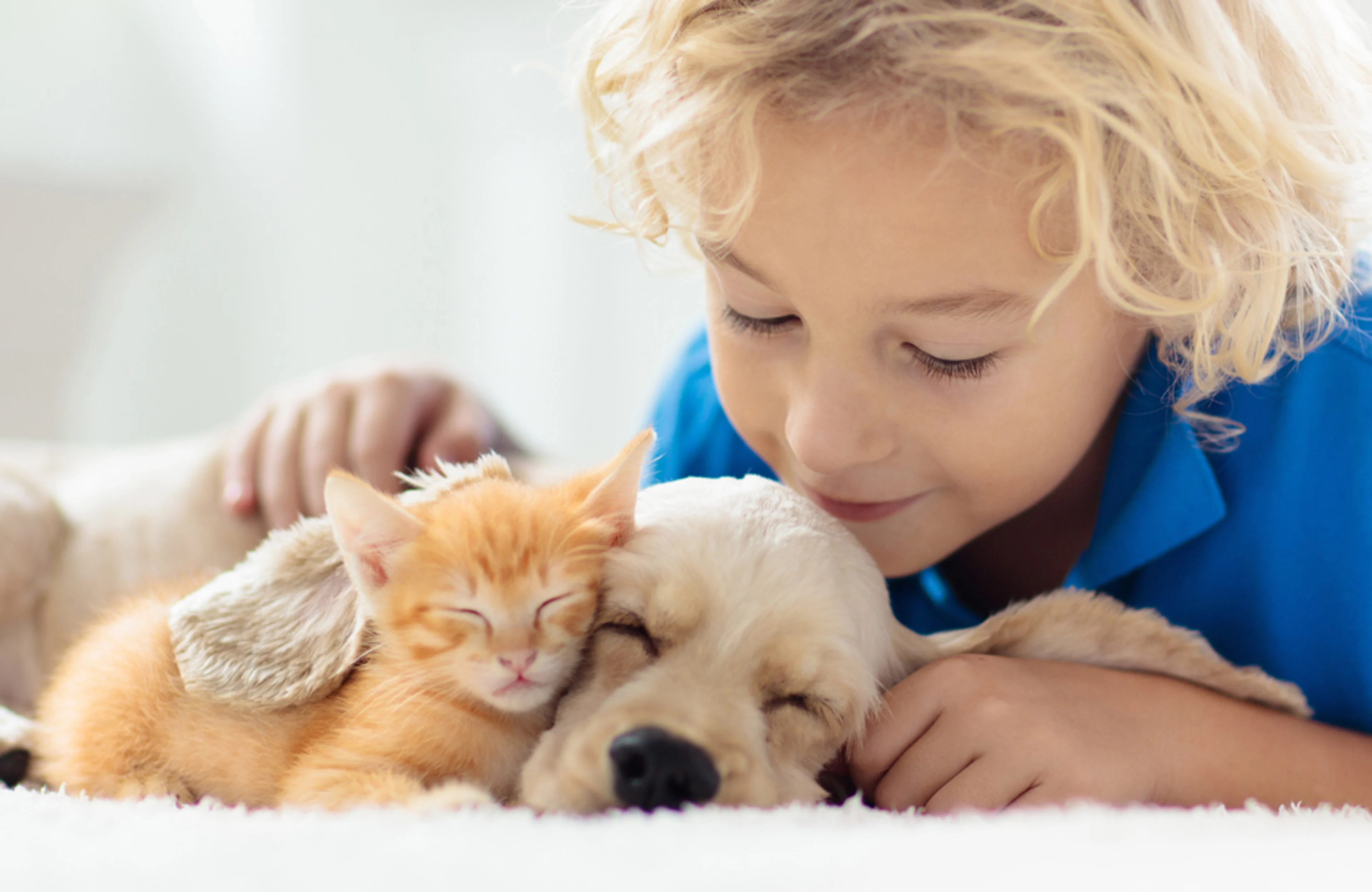 Pet care packaging research on sustainability