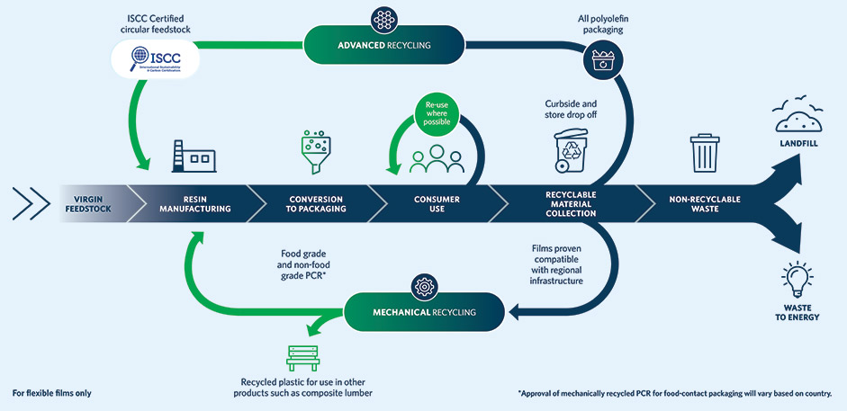 Circular Economy Diagram