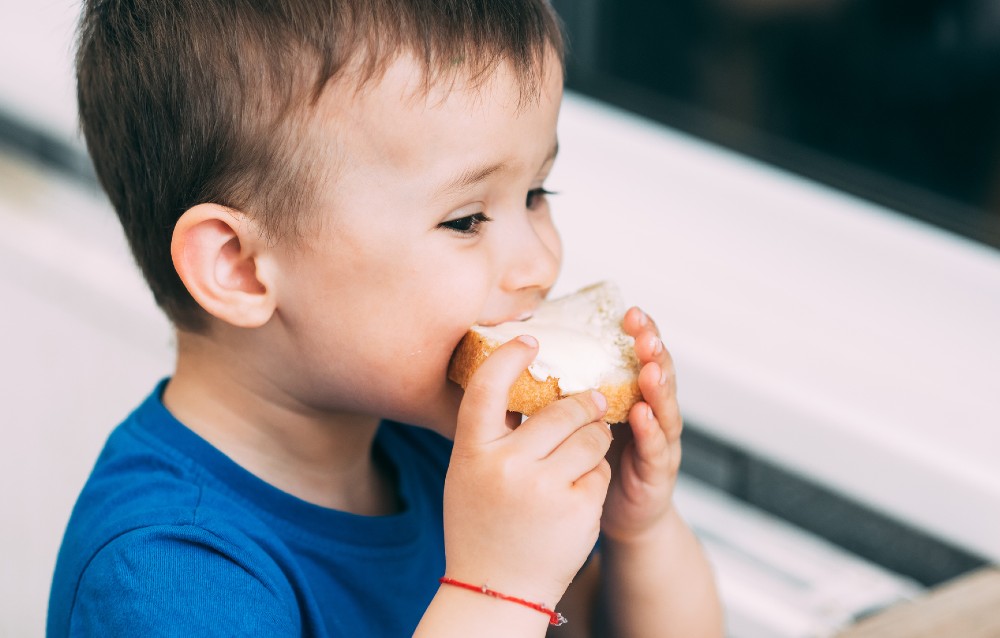 European dairy snackers