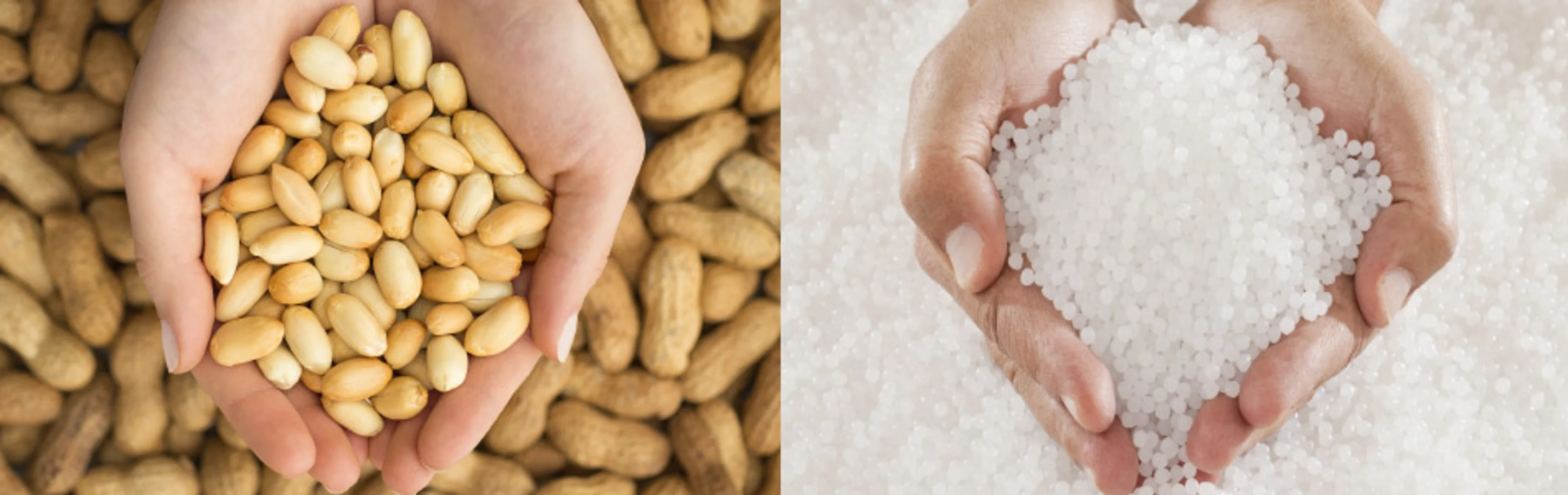 Image-for-Download-folio-shieldpack-dry-02