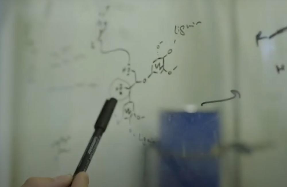 BloomBiorenewables1000x651