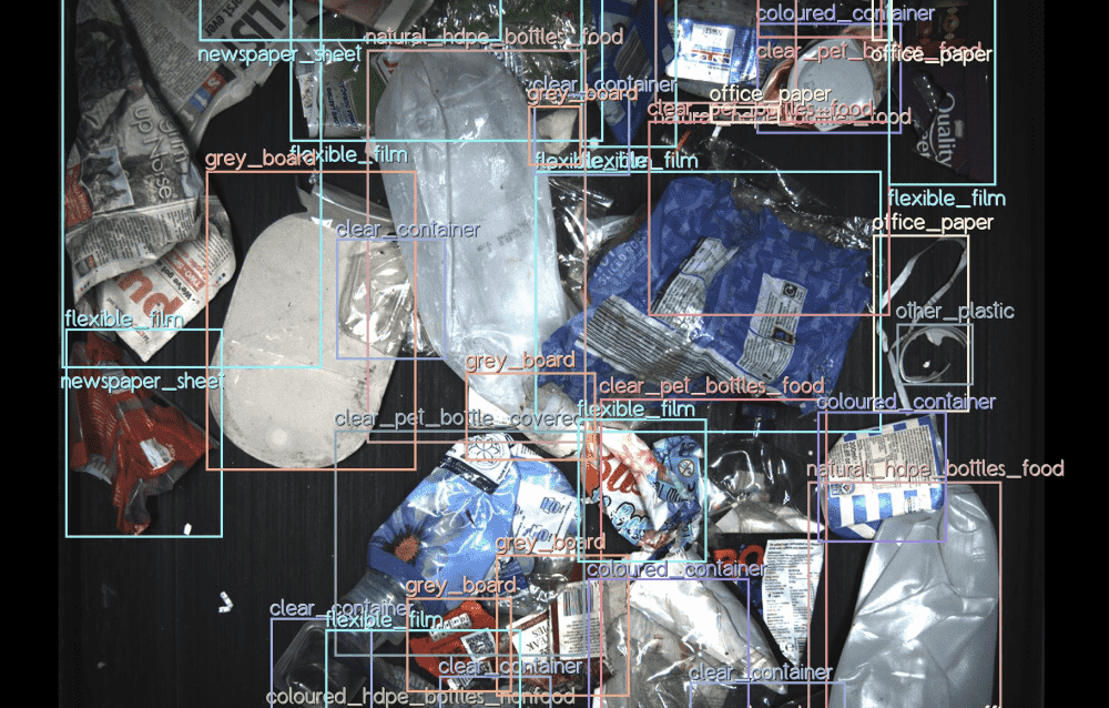 Greyparrot2-1000x638